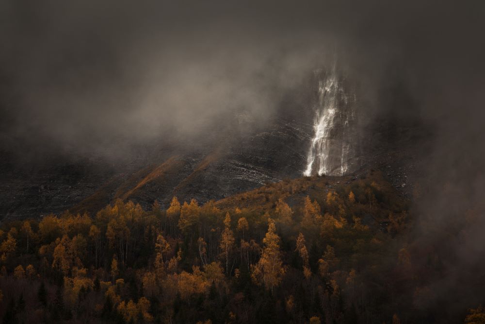 Catharsis – Elodie Imbert