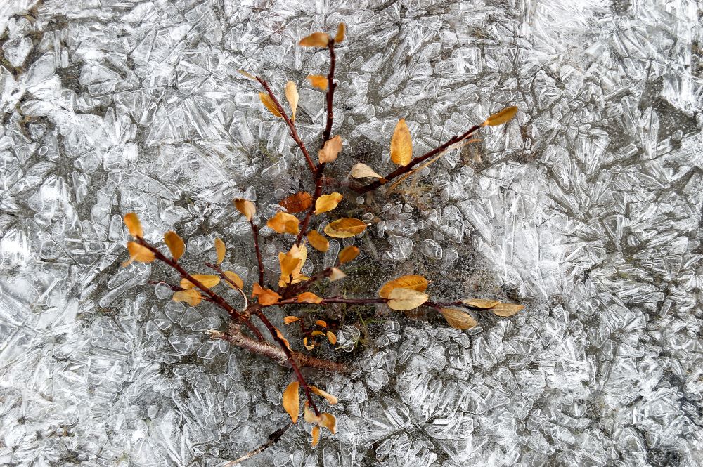 Glace en Vanoise – Vincent Viricel