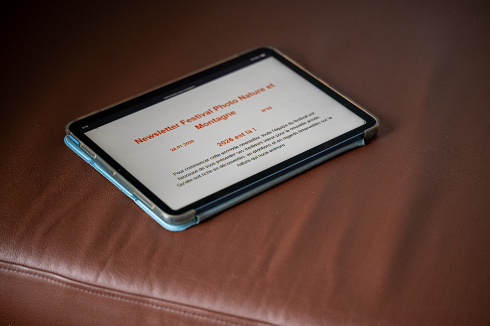 Newsletter du festival – No2