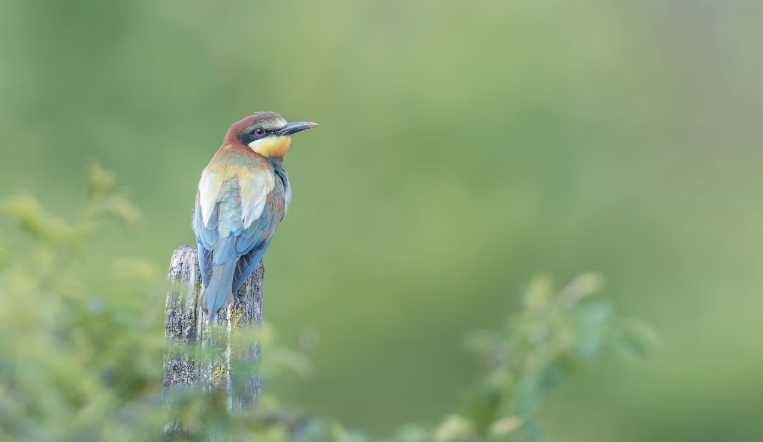 Couleurs de vie – Valérie et Cyril BUFFEL (ValeCyr)