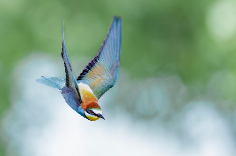 Couleurs de vie – Valérie et Cyril BUFFEL