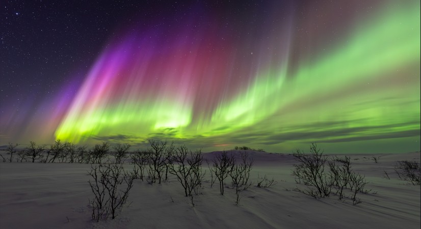 Aurores boréales : quand la voûte céleste s’embrase – Sylvain GUYON