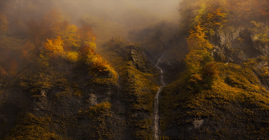 Invitée – Catharsis – Elodie Imbert / Chimères Sauvages