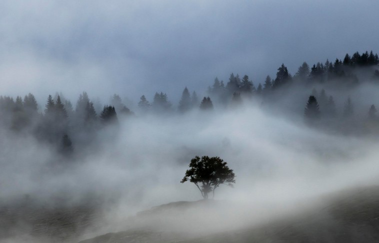 Invité - Lucas Melcarne