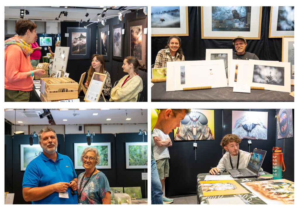 Les expositions d'Elodie Imbert, Luca Melcarne et Nathalie Lecrivain, Valérie et Cyril BUFFEL et Lucian Métivier